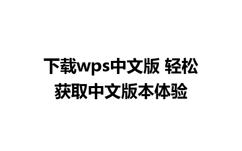 下载wps中文版 轻松获取中文版本体验