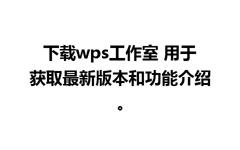 下载wps工作室 用于获取最新版本和功能介绍。