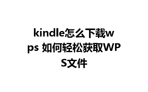 kindle怎么下载wps 如何轻松获取WPS文件