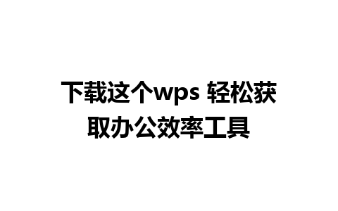 下载这个wps 轻松获取办公效率工具