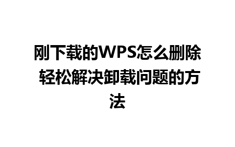 刚下载的WPS怎么删除 轻松解决卸载问题的方法