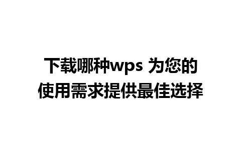 下载哪种wps 为您的使用需求提供最佳选择