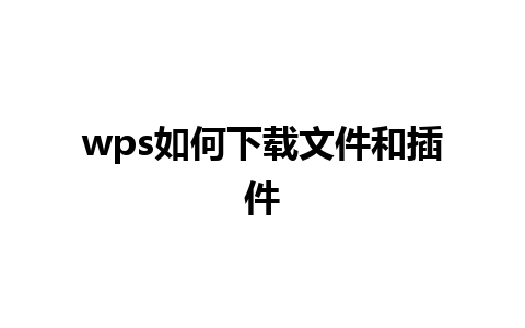 wps如何下载文件和插件