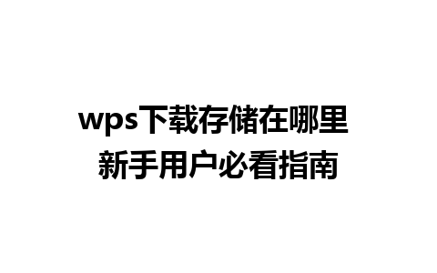 wps下载存储在哪里 新手用户必看指南