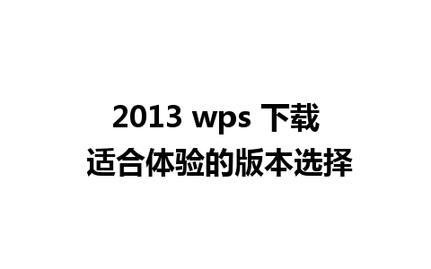 2013 wps 下载 适合体验的版本选择