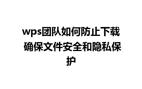 wps团队如何防止下载 确保文件安全和隐私保护