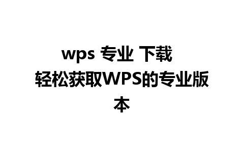 wps 专业 下载  轻松获取WPS的专业版本