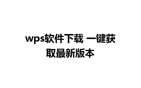 wps软件下载 一键获取最新版本