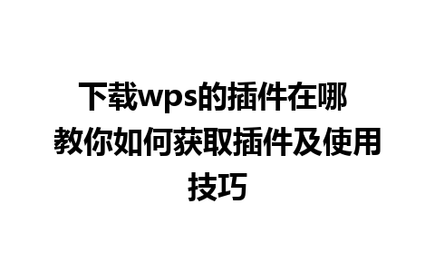 下载wps的插件在哪 教你如何获取插件及使用技巧