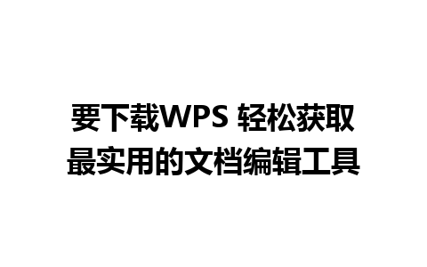 要下载WPS 轻松获取最实用的文档编辑工具