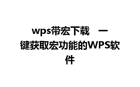 wps带宏下载   一键获取宏功能的WPS软件