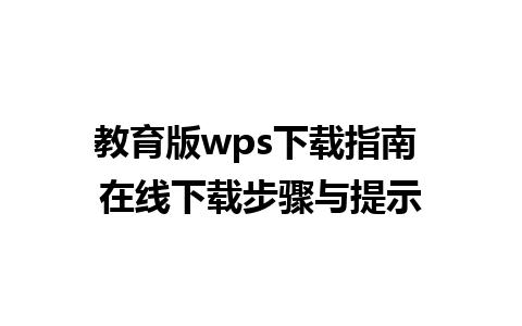 教育版wps下载指南 在线下载步骤与提示