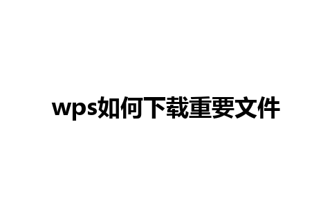 wps如何下载重要文件