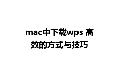 mac中下载wps 高效的方式与技巧