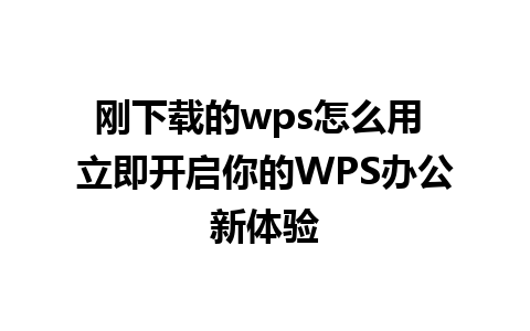 刚下载的wps怎么用 立即开启你的WPS办公新体验