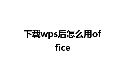 下载wps后怎么用office 