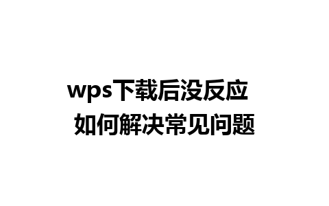 wps下载后没反应  如何解决常见问题