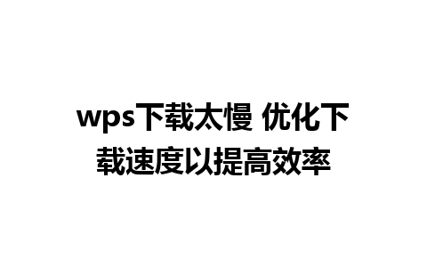 wps下载太慢 优化下载速度以提高效率