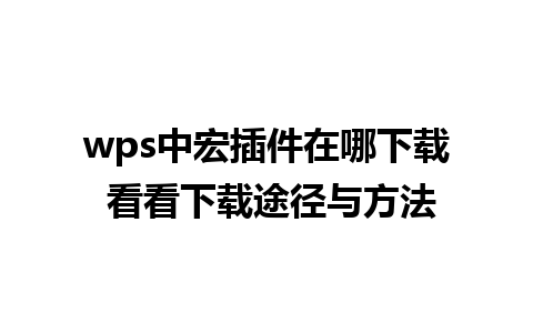 wps中宏插件在哪下载 看看下载途径与方法