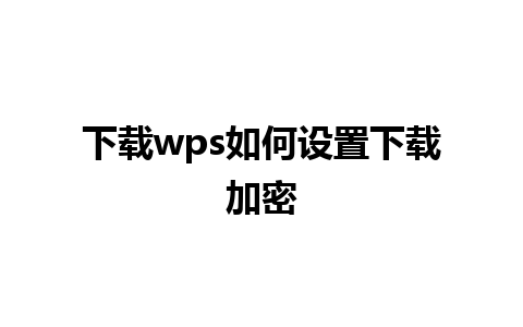 下载wps如何设置下载加密