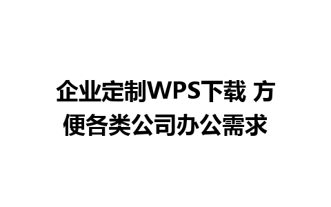 企业定制WPS下载 方便各类公司办公需求