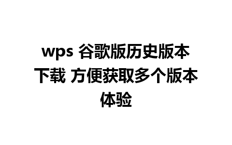 wps 谷歌版历史版本下载 方便获取多个版本体验