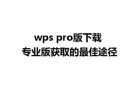 wps pro版下载 专业版获取的最佳途径