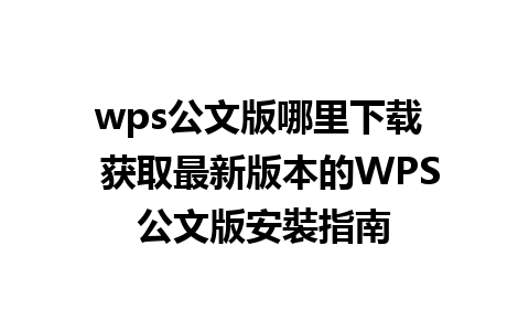 wps公文版哪里下载  获取最新版本的WPS公文版安裝指南