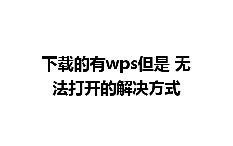 下载的有wps但是 无法打开的解决方式