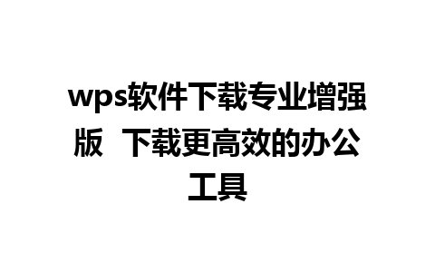 wps软件下载专业增强版  下载更高效的办公工具