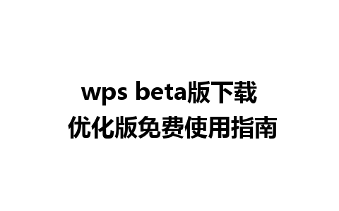 wps beta版下载 优化版免费使用指南