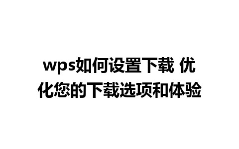 wps如何设置下载 优化您的下载选项和体验