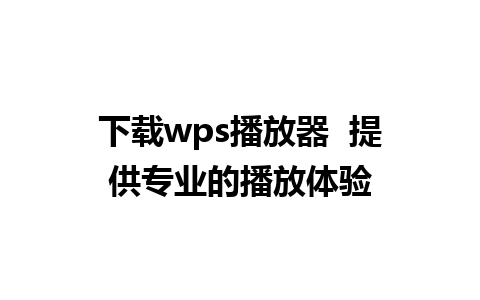 下载wps播放器  提供专业的播放体验