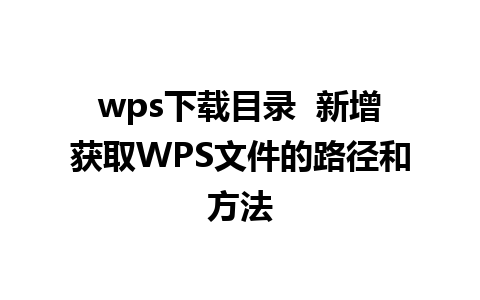 wps下载目录  新增获取WPS文件的路径和方法