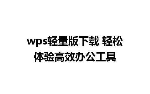 wps轻量版下载 轻松体验高效办公工具