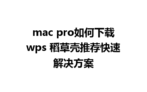 mac pro如何下载wps 稻草壳推荐快速解决方案