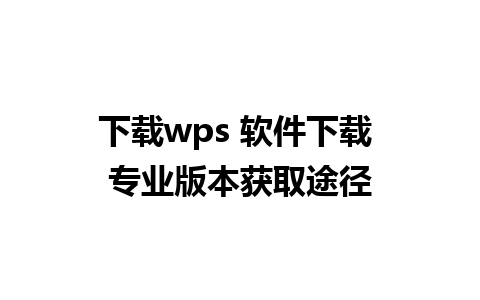 下载wps 软件下载 专业版本获取途径