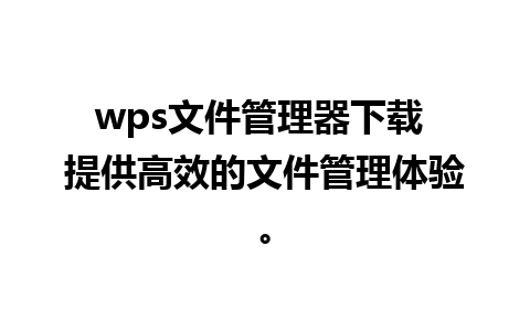 wps文件管理器下载 提供高效的文件管理体验。