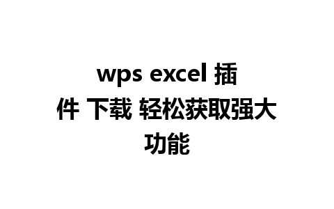 wps excel 插件 下载 轻松获取强大功能