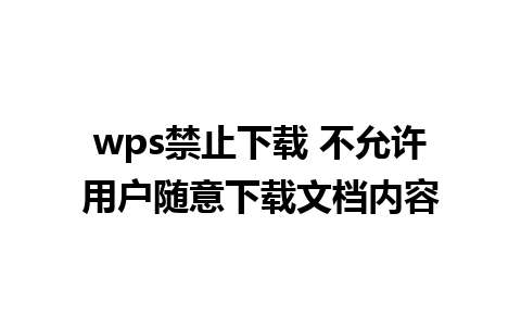 wps禁止下载 不允许用户随意下载文档内容