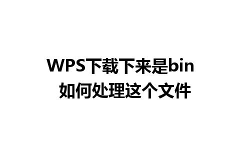 WPS下载下来是bin  如何处理这个文件