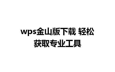 wps金山版下载 轻松获取专业工具  
