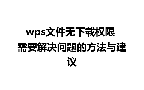 wps文件无下载权限 需要解决问题的方法与建议