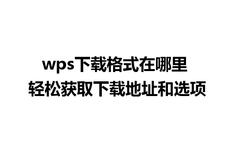 wps下载格式在哪里 轻松获取下载地址和选项