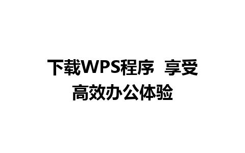 下载WPS程序  享受高效办公体验