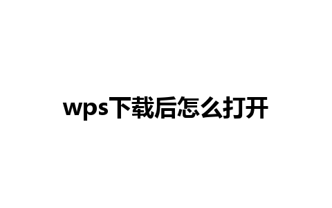 wps下载后怎么打开