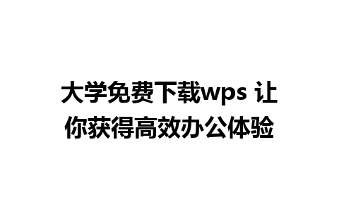 大学免费下载wps 让你获得高效办公体验