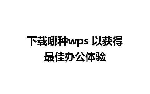 下载哪种wps 以获得最佳办公体验