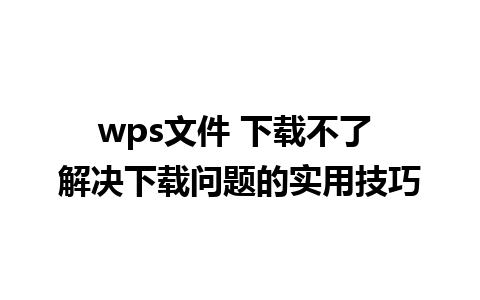 wps文件 下载不了 解决下载问题的实用技巧