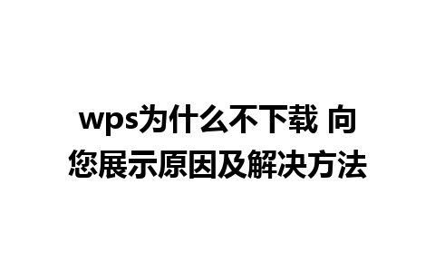 wps为什么不下载 向您展示原因及解决方法